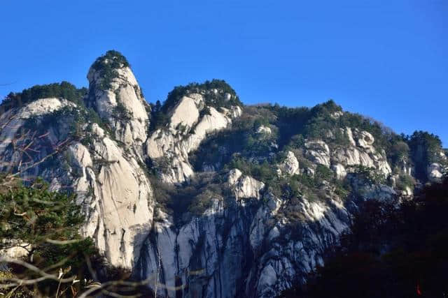 河南这个景区景色之美堪比5A，原始林海高山杜鹃应有尽有，免门票