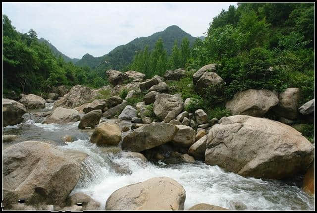 河南这个景区景色之美堪比5A，原始林海高山杜鹃应有尽有，免门票