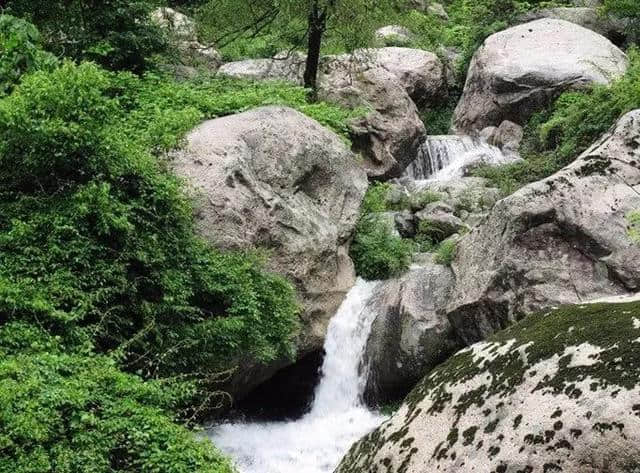 河南这个景区景色之美堪比5A，原始林海高山杜鹃应有尽有，免门票