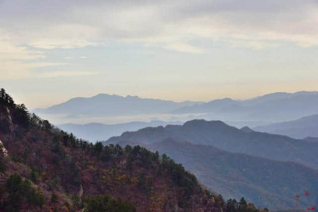 河南这个景区景色之美堪比5A，原始林海高山杜鹃应有尽有，免门票