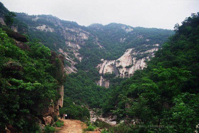 河南这个景区景色之美堪比5A，原始林海高山杜鹃应有尽有，免门票