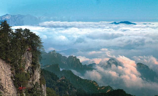 河南这个景区景色之美堪比5A，原始林海高山杜鹃应有尽有，免门票