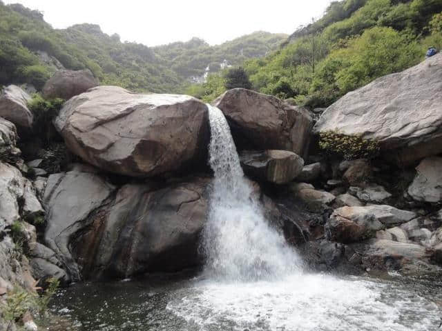 河南这个景区景色之美堪比5A，原始林海高山杜鹃应有尽有，免门票