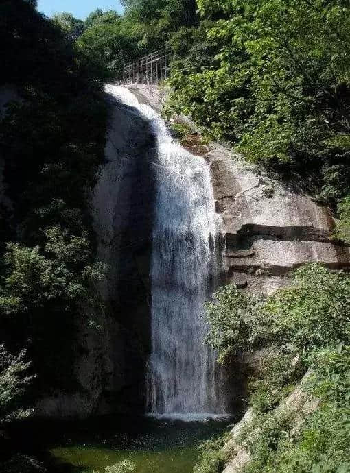 河南这个景区景色之美堪比5A，原始林海高山杜鹃应有尽有，免门票