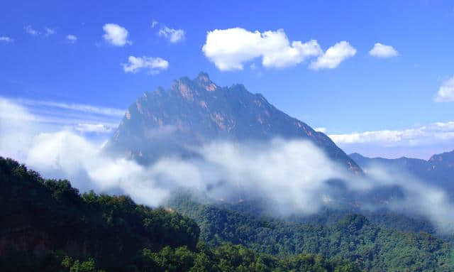 河南这个景区景色之美堪比5A，原始林海高山杜鹃应有尽有，免门票