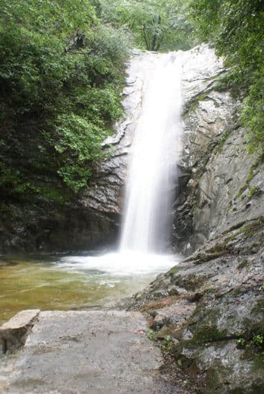 河南这个景区景色之美堪比5A，原始林海高山杜鹃应有尽有，免门票