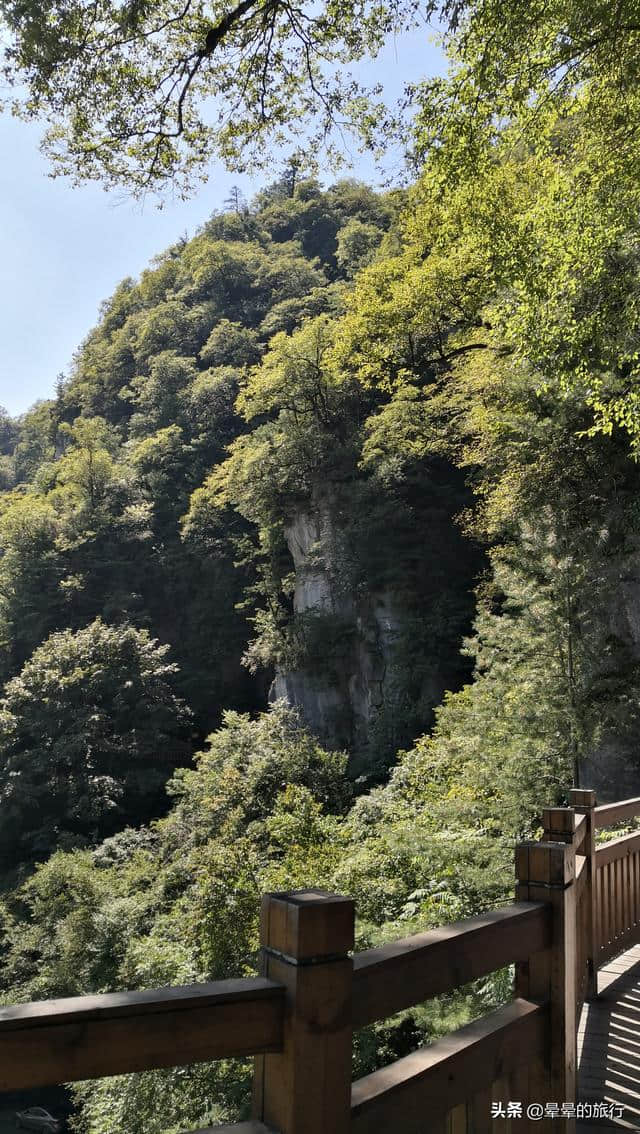 晕晕的旅行记录（2019.08.20）神农架景区