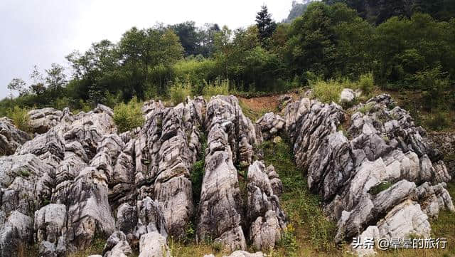 晕晕的旅行记录（2019.08.20）神农架景区