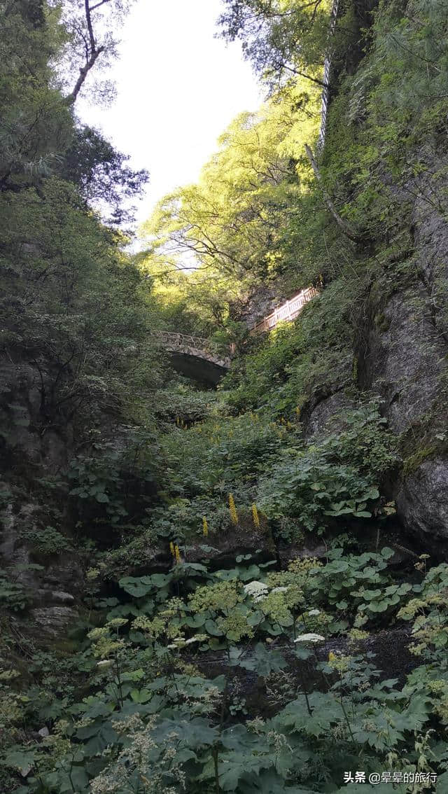 晕晕的旅行记录（2019.08.20）神农架景区