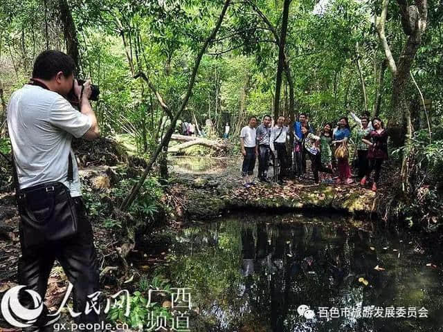 高温预警！这几个广西避暑好去处值得推荐，看着都凉快