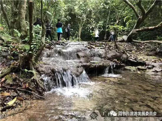 高温预警！这几个广西避暑好去处值得推荐，看着都凉快