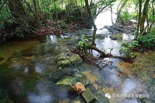 高温预警！这几个广西避暑好去处值得推荐，看着都凉快