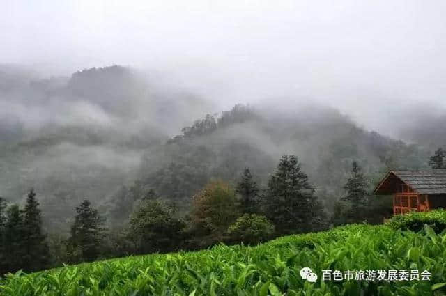 高温预警！这几个广西避暑好去处值得推荐，看着都凉快