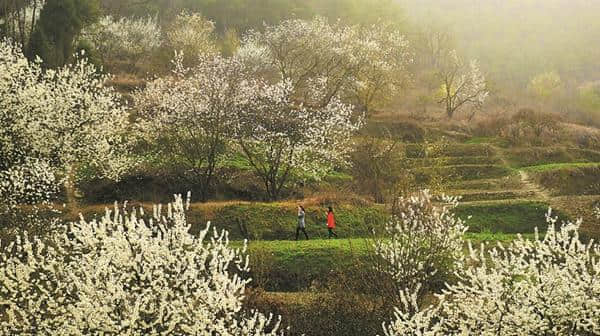 山乡美景入画来——十堰乡村旅游线路推荐