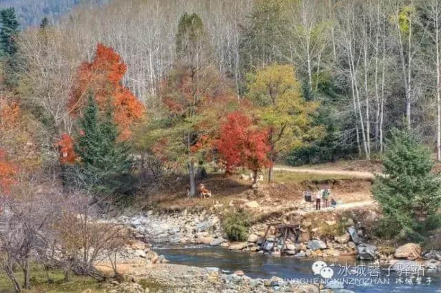 国庆节前夕探班伊春，景色多姿山色迷人