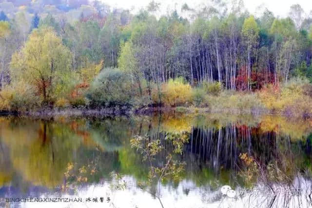 国庆节前夕探班伊春，景色多姿山色迷人