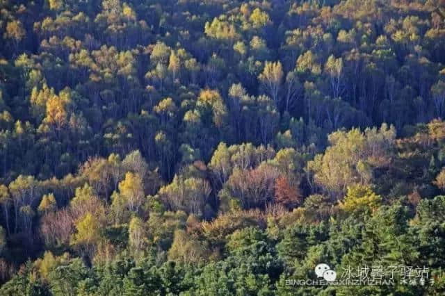 国庆节前夕探班伊春，景色多姿山色迷人