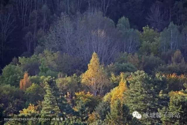 国庆节前夕探班伊春，景色多姿山色迷人