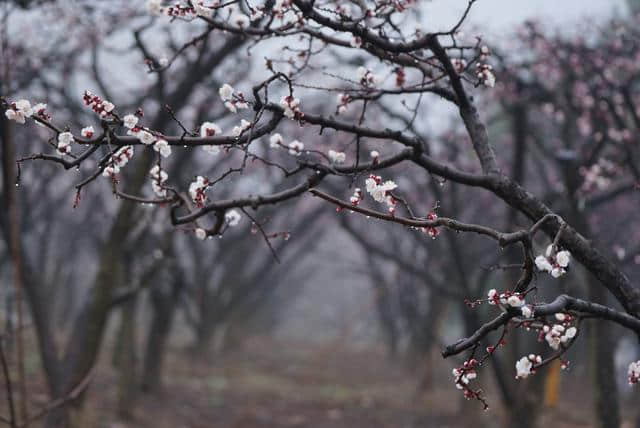 比西藏还美的成都周边小众景点，花费低，旅程短，风景迷死个人