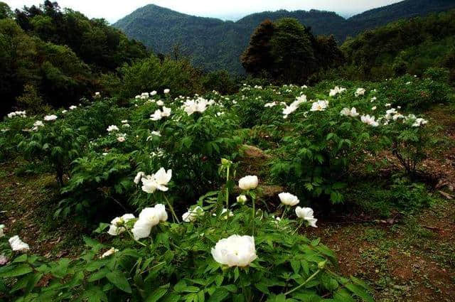 比西藏还美的成都周边小众景点，花费低，旅程短，风景迷死个人