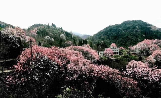 比西藏还美的成都周边小众景点，花费低，旅程短，风景迷死个人