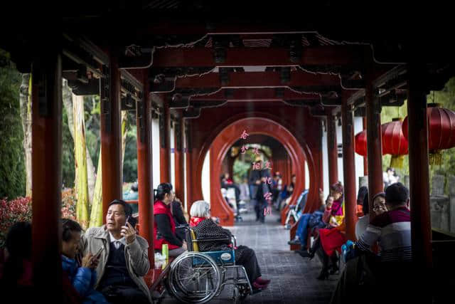 成都旅游：不只有锦里、宽窄巷子，还有数十景点等你打卡--市区篇