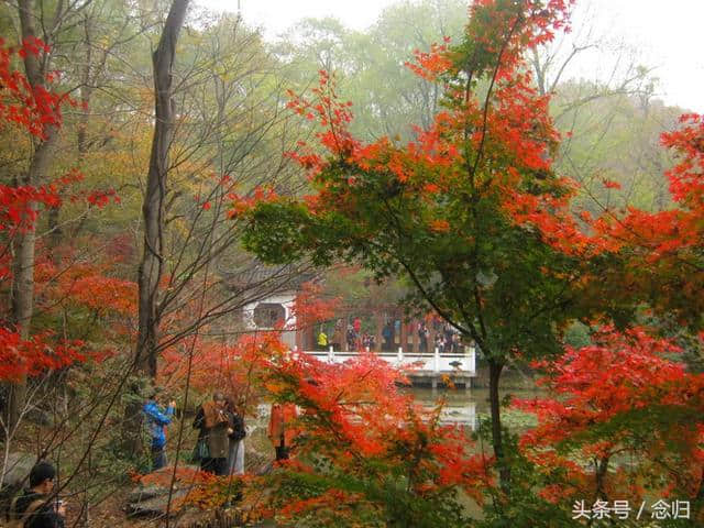 圣诞节假期，栖霞旅游，终于知道苹果上字的秘密