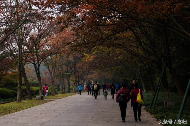 圣诞节假期，栖霞旅游，终于知道苹果上字的秘密