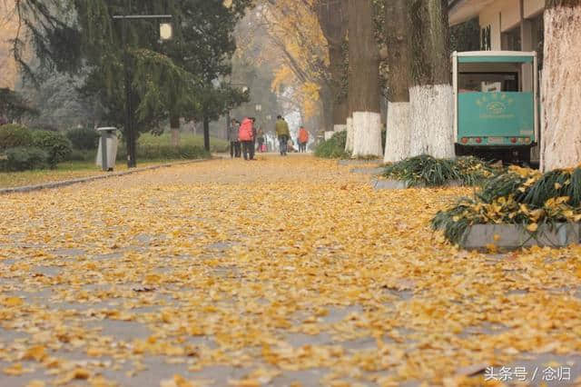 圣诞节假期，栖霞旅游，终于知道苹果上字的秘密