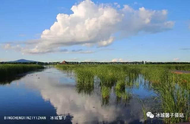 富锦湿地公园，三江平原上的水乡绿洲