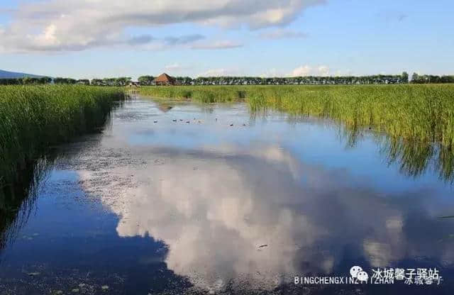 富锦湿地公园，三江平原上的水乡绿洲