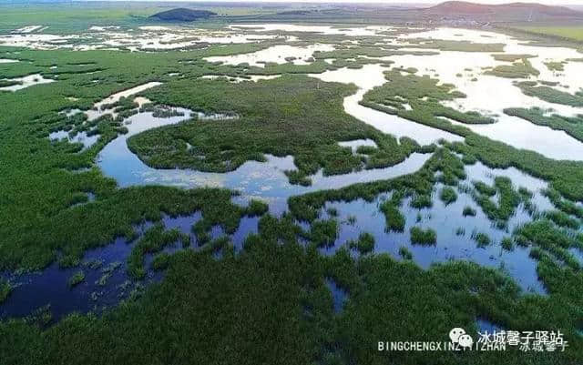 富锦湿地公园，三江平原上的水乡绿洲