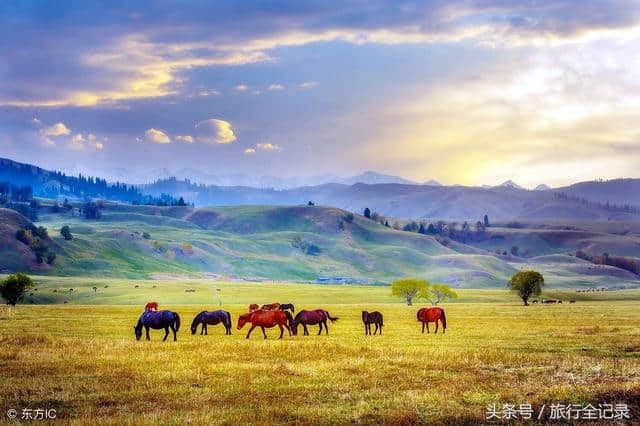 这里是伊犁旅游的龙头景区，你们知道吗？