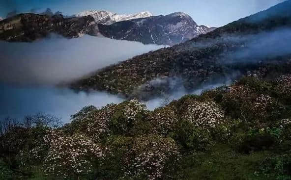 暑假成都周边旅游：葛仙山，磨西古镇，磨子坪，明月村