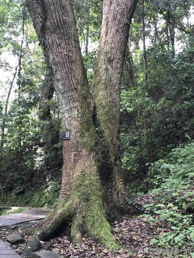 牯牛降风景区、古称“西黄山”、这里有全池州最佳的摄影点