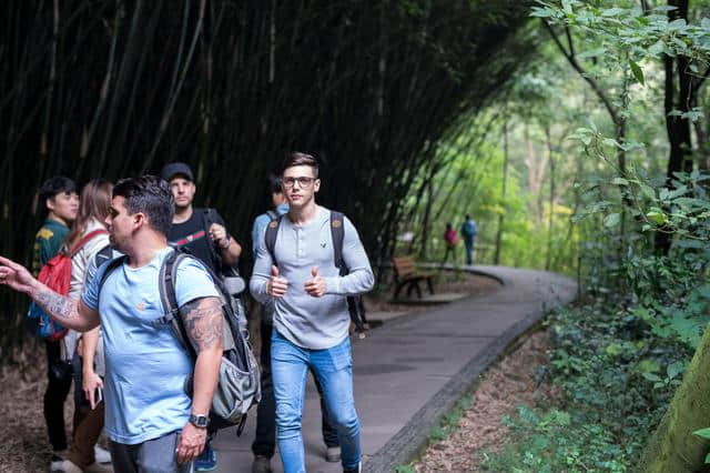 大熊猫繁育研究基地，成都旅游必打卡景点，不去后悔