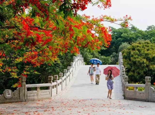 深圳这么多好玩的免费景点，你都去过了吗？