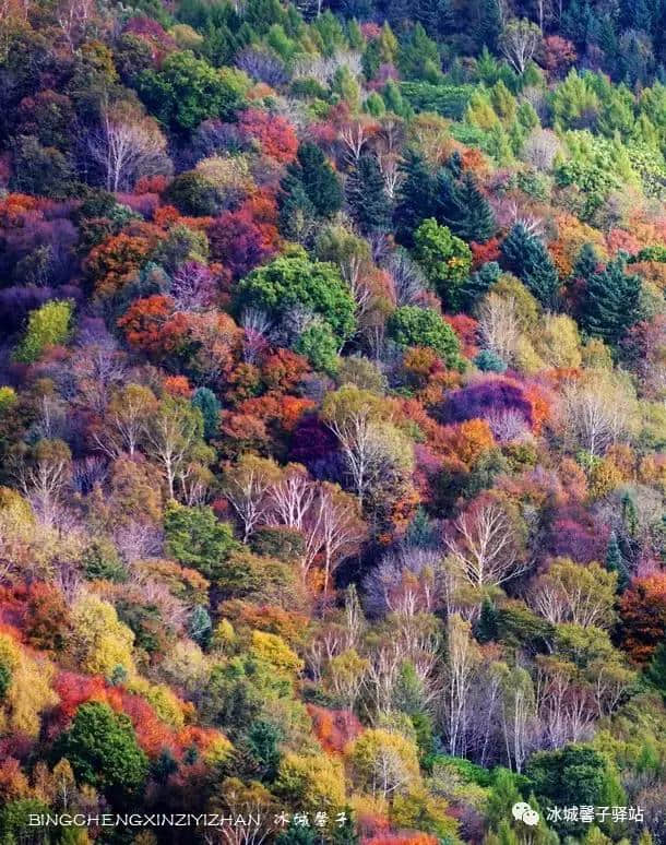 知道伊春八大景观、最美的十大景区是哪里？