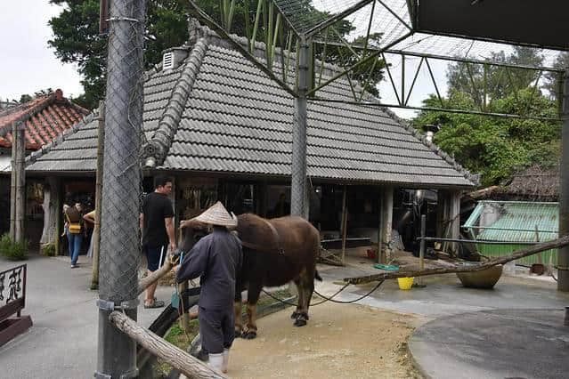 冲绳——一座安静又美丽的小城