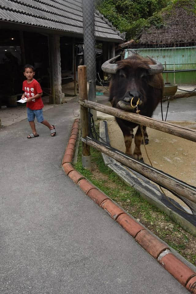 冲绳——一座安静又美丽的小城