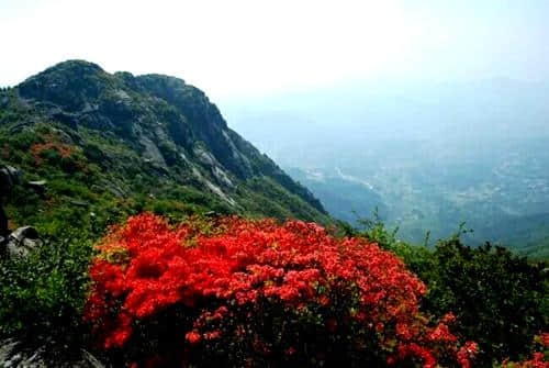 咬定绿水青山不放松 生态旅游促生金山银山