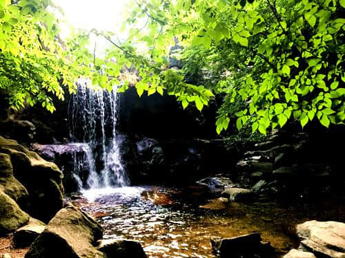 咬定绿水青山不放松 生态旅游促生金山银山