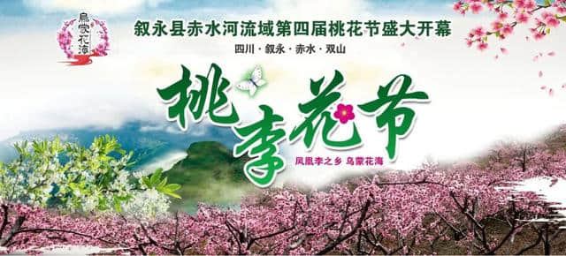 叙永桃李花节开幕式时间已确定，邀请你来看桃李花啦~