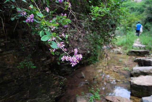 河南（巩义）原生态旅游景区大盘点：人少景美，全部免门票！