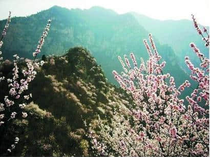 河南（巩义）原生态旅游景区大盘点：人少景美，全部免门票！