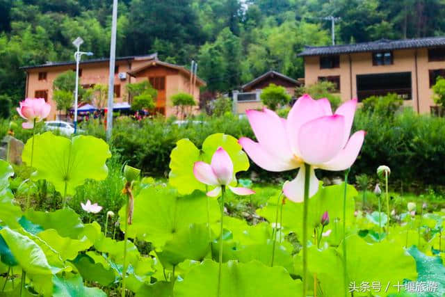 清凉茅塔 十堰城郊避暑胜地