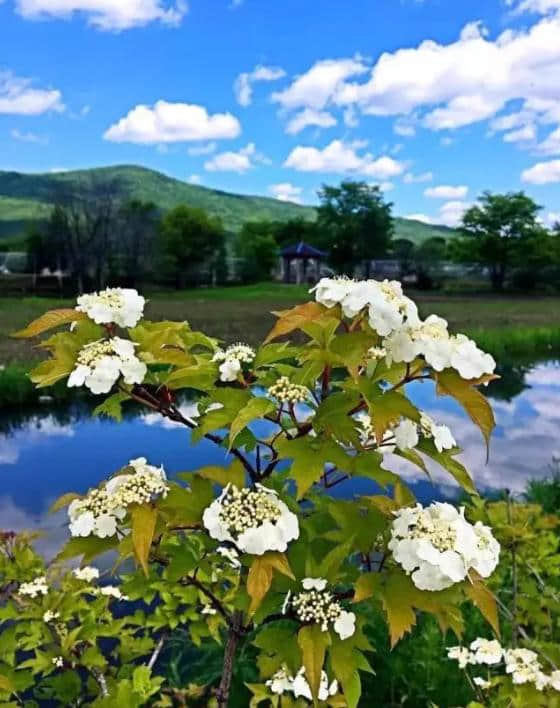 最美景区、五宝十特、山珍八大碗！看林都伊春如何玩转夏季纳凉新技能！