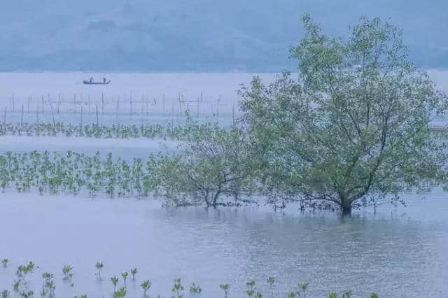 深圳周边五个小众旅行地，推荐周末出行，附交通信息