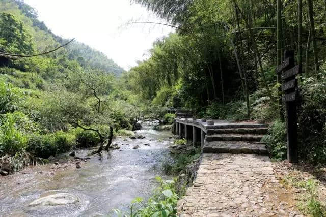 旅游+美食，来义乌“隐世”北山村，邂逅果福与眼福！