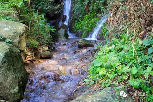 旅游+美食，来义乌“隐世”北山村，邂逅果福与眼福！